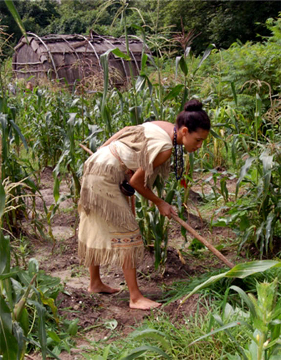 An interpreter hoes corn at Plimouth Plantation